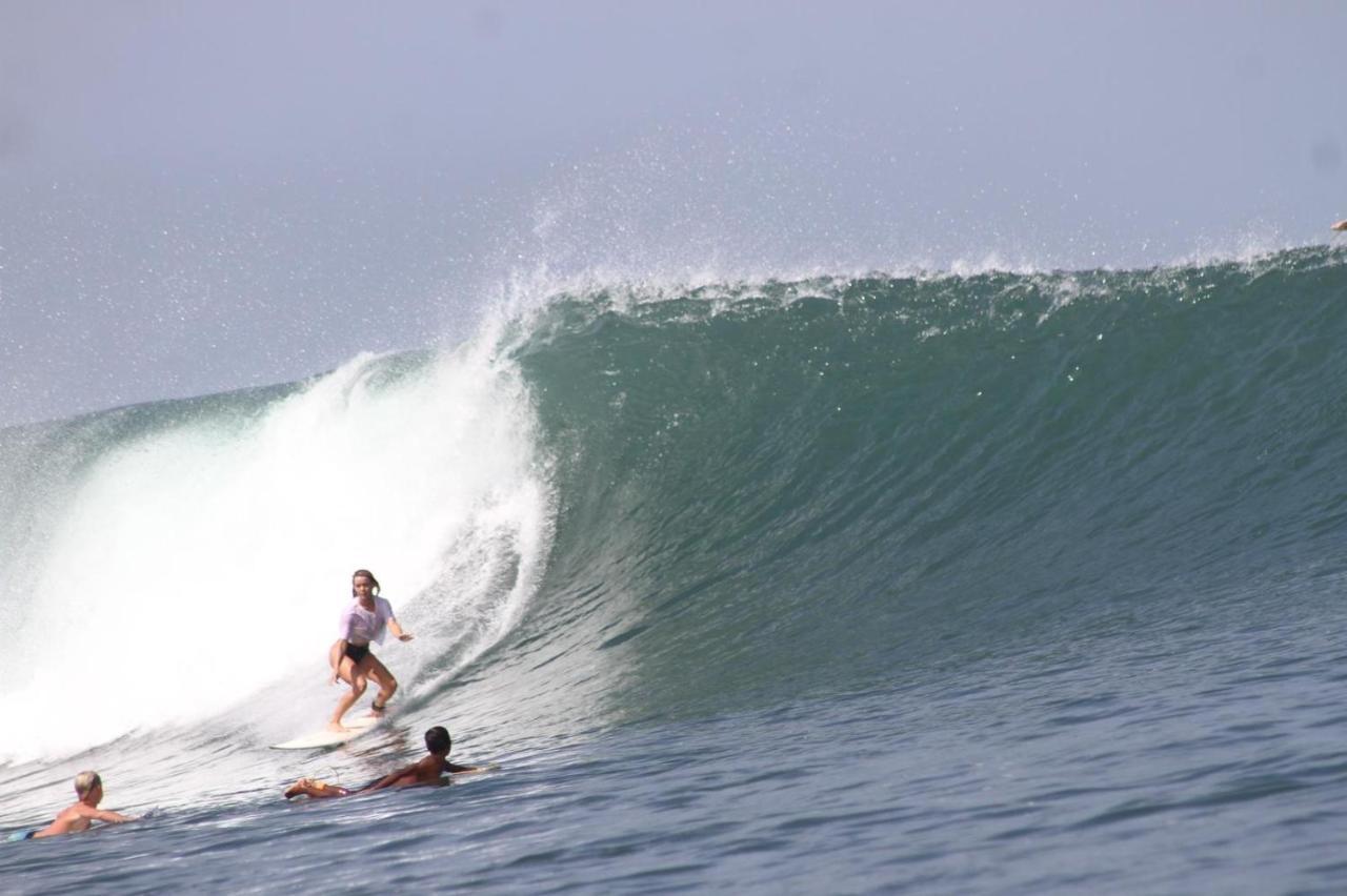 Hotel Medewi Secret Surfcamp Pulukan Zewnętrze zdjęcie